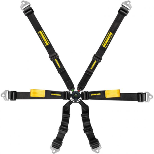 Schroth Enduro 2x2 Harness