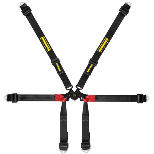 Schroth Formula 2x2 Harness